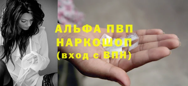 хмурый Алзамай