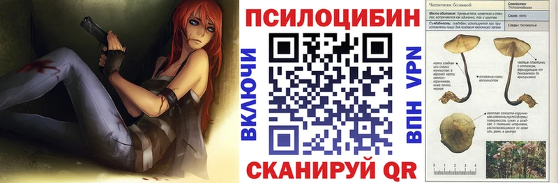 Псилоцибиновые грибы Psilocybe магазин Саров