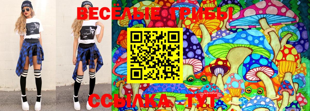 Псилоцибиновые грибы Cubensis  Псилоцибиновые грибы прущие грибы  Саров  закладки  Вход с VPN 